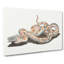 A Snake by Johan Teyler - Wrapped Canvas Painting-55368080