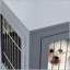 Cage pour chien avec cage double Pawhut