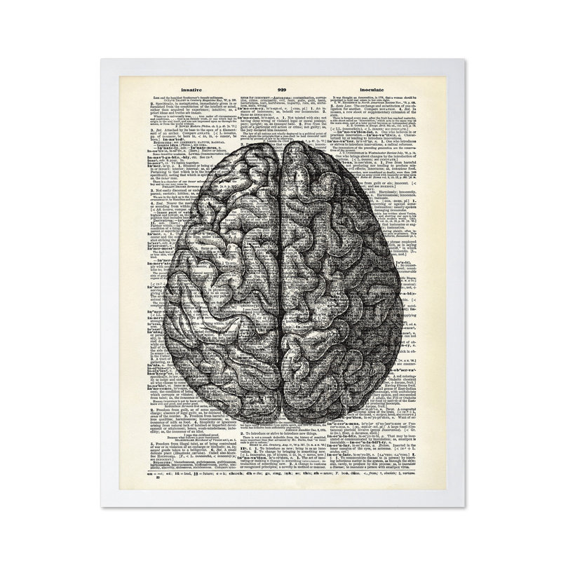 Cerveau humain, Poster, White Framed, 11"H x 14"W