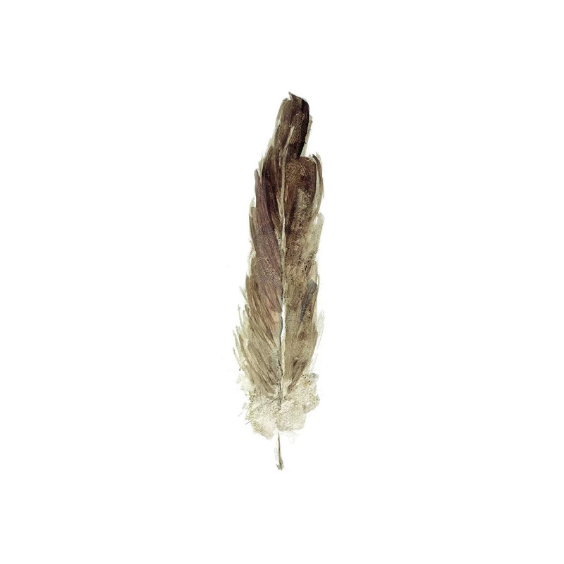 Soft Feather I by Sally Swatland - Panoramic Gallery-Wrapped Canvas Giclée on Canvas, 121.92 cm H x 40.64 cm W x 1.91 cm D