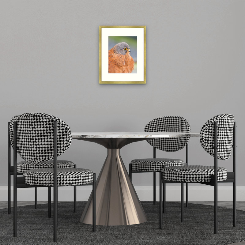 Dreketi Matte MDF Wall Hanging Picture Frame, Gold, 16" x 20"