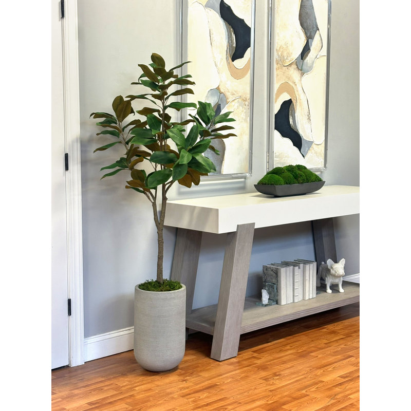 Arbre de magnolia d'extérieur 5,5 pi classé UV dans un pot en fibre de pierre