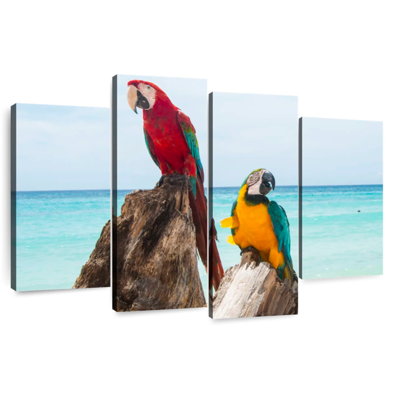 Brampt Resting Macaws, 22'' H x 36'' W