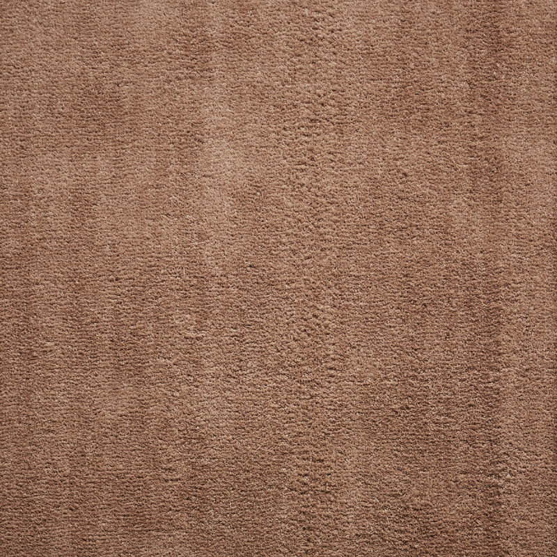 Ashaunte area rug Machine Woven Rectangle Walnut, Rectangle 60 x 115cm