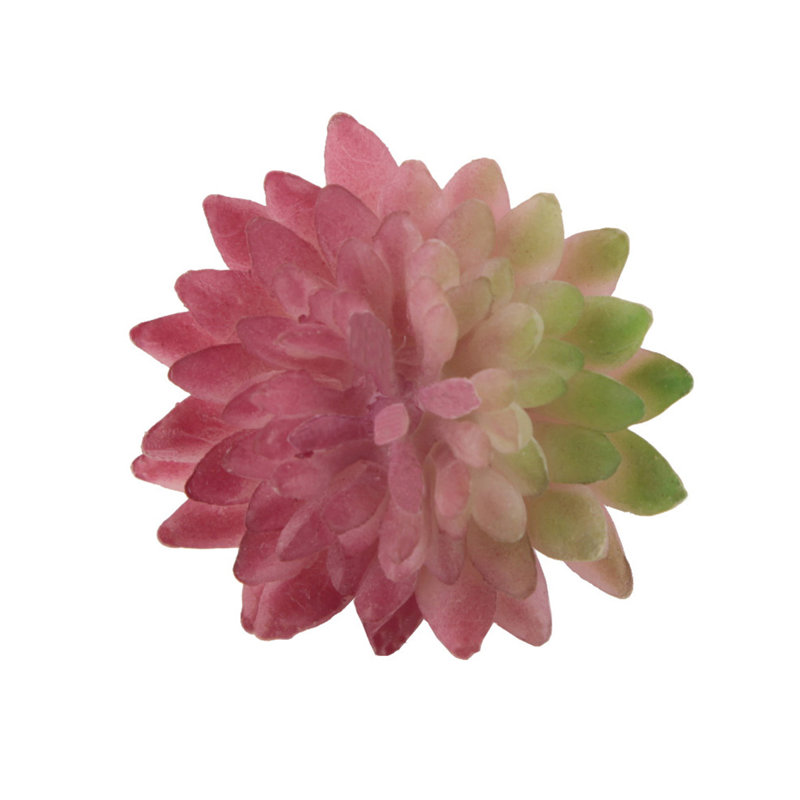 Plante pour succulent de bureau tasse, Rouge