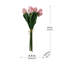 Fausse tulipe Tucson-1761452369-1761452374