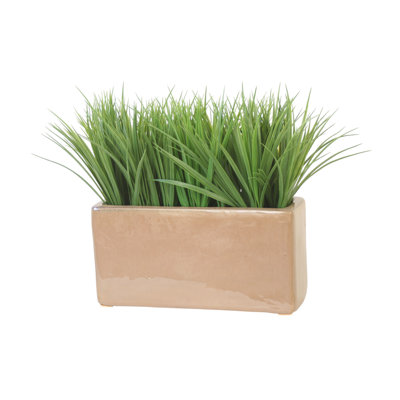 Green Grass in Mocha Planter
