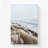 Wind Swept Shoreline, Large Canvas Print-869566542