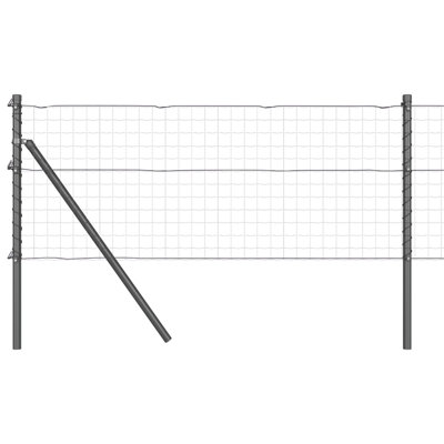 80 cm H x 3.2 cm W Fencing Kits Fencing