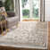 Bristol Point Performance Oriental Rug