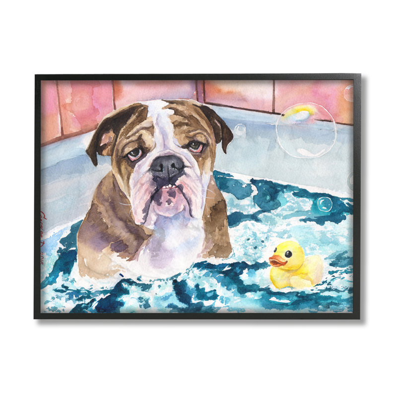 Bulldog anglais dans des bulles de canard en caoutchouc, H 16 po x l 20 po, Giclée encadrée noir minuit