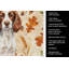 Serviette de cuisine tricolore Sheltie-2083471970