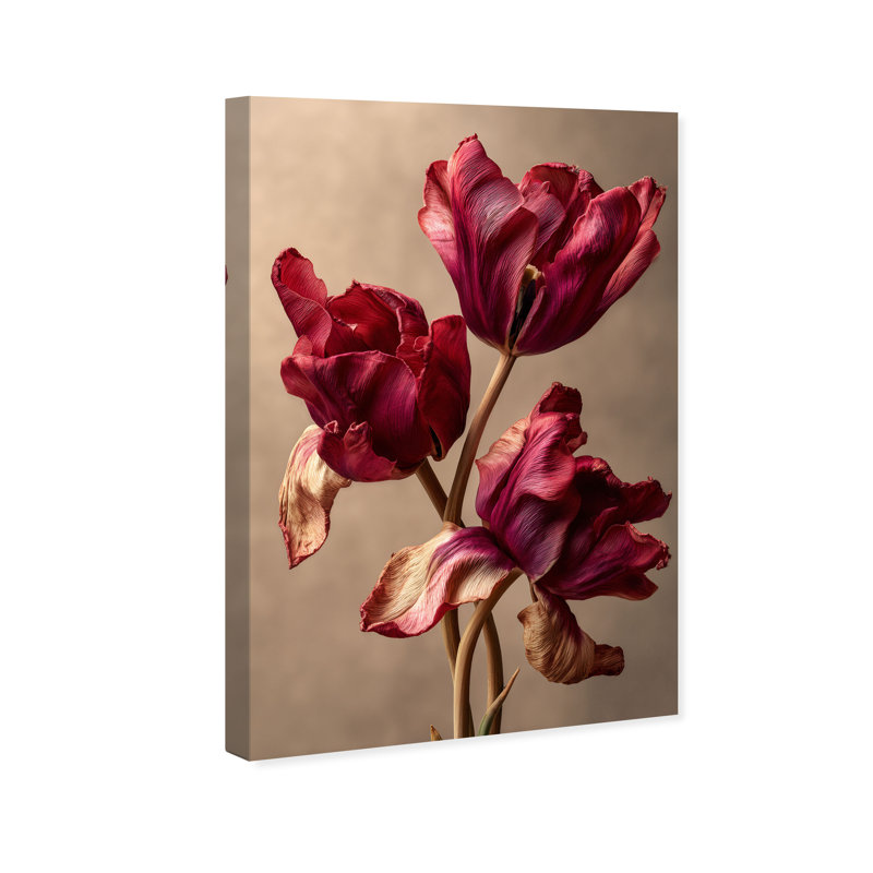 Dark Silk Remains Print by Oliver Gal, 20"H x 30"W, Gallery Wrapped