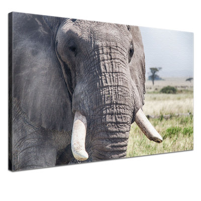Wall Art on Canvas