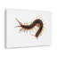 «Centipede Chasse», art mural-886505270