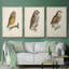 «French Owls I», ensemble de 3 toiles encadrées-97795716-97795720