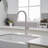 VIBRANTBATH Pull Out Kitchen Faucet-90616812