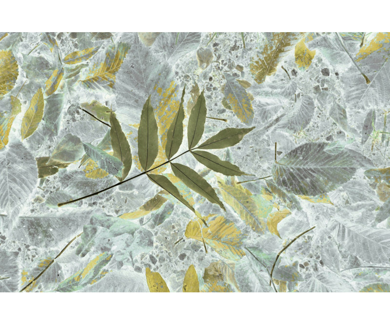 Wrapped Canvas Print, 81.28 cm H x 121.92 cm W