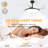 42" Retractable Ceiling Fan With Light And Remote, Quiet DC Motor Modern Ceiling Fan-2031645468