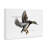 Flying Mallard Duck Canvas by Jadei Graphics-1448379409