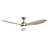 Armillda 56'' Ceiling Fan with LED Lights