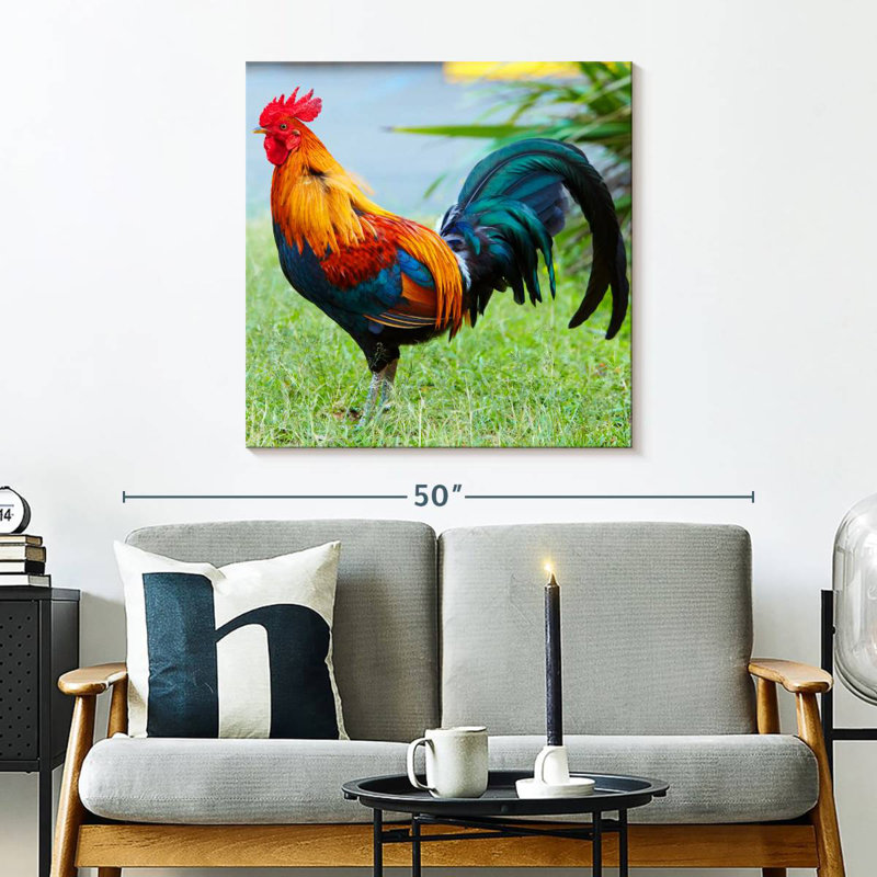 Crowle coq sur l'herbe, H 30 po x l 30 po