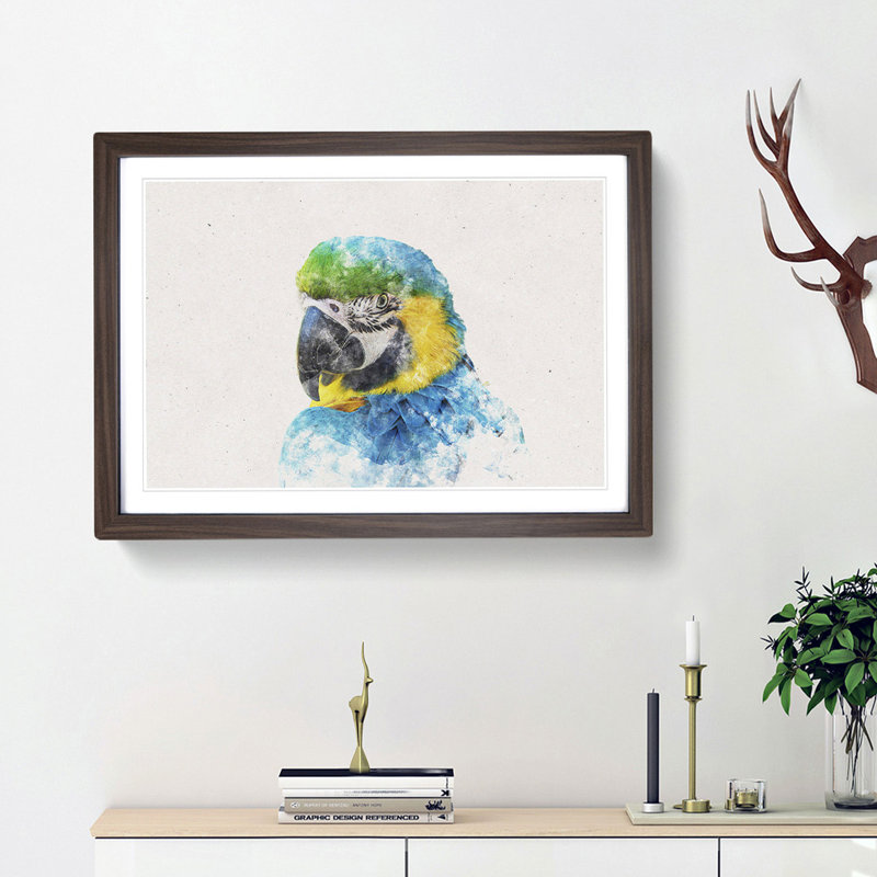 Blue and Yellow Macaw Parrot - Picture Frame Graphic Art Print, 45cm H x 63cm W x 2cm D, Walnut Framed
