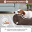 Lit pour chien-1627782296-1627782297