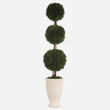 Primrue Preserved Boxwood Triple Topiary