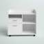 Fern Rock 31.5'' Wide 2 - Drawer Filing Storage Cabinet-885336206