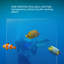 Aquarium en verre 47,24 po-129894169-129894175