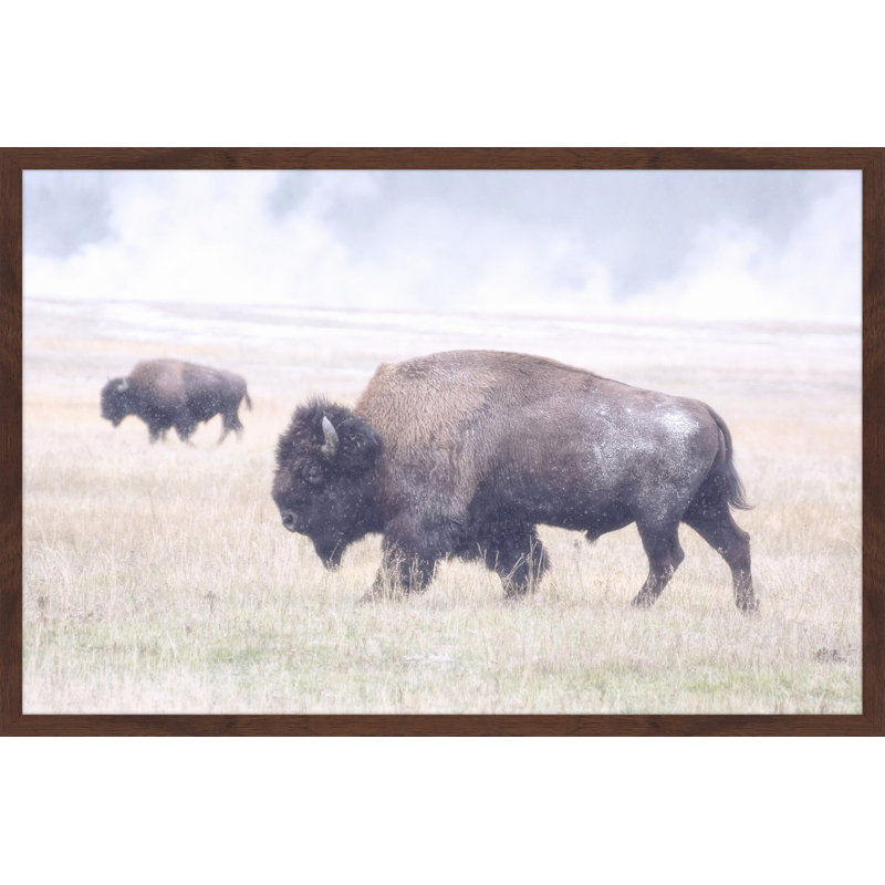 Parvez Taj - Single Picture Frame Print, 41cm H x 61cm W x 3.81cm D