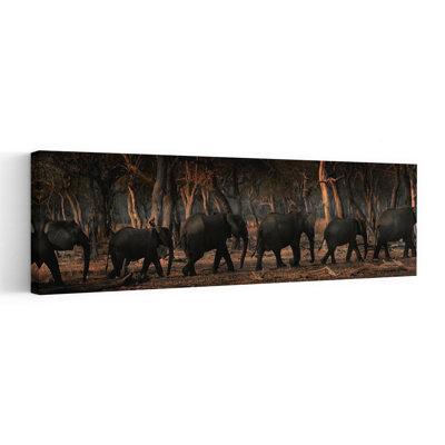 Éléphant sauvage procession dramatique pacifique serein éléphant forêt nature, art mural