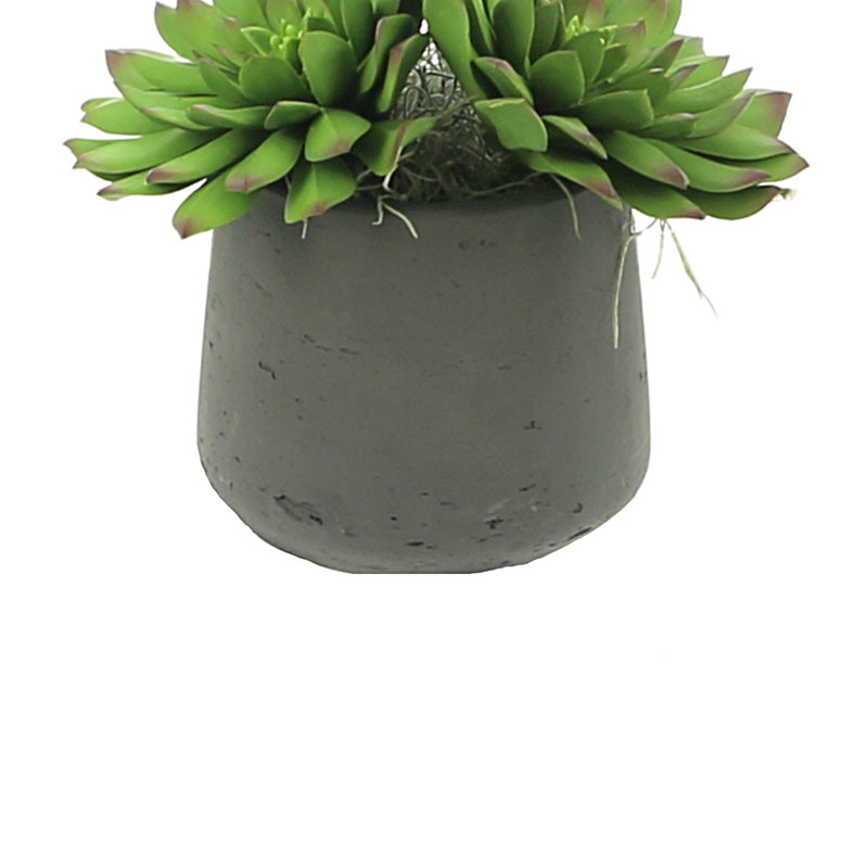 Rockridge Faux Succulent Plant in Fiberstone Pot, Black