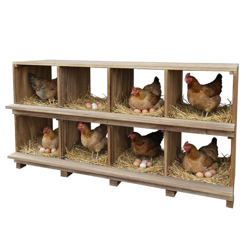 Chicken Coop