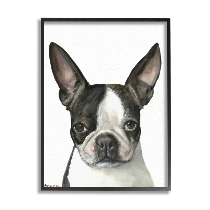 «Boston Terrier Pet Dog» par George Dyachenko - peinture sur toile, H 30 po x l 24 po, Giclée encadrée noir minuit