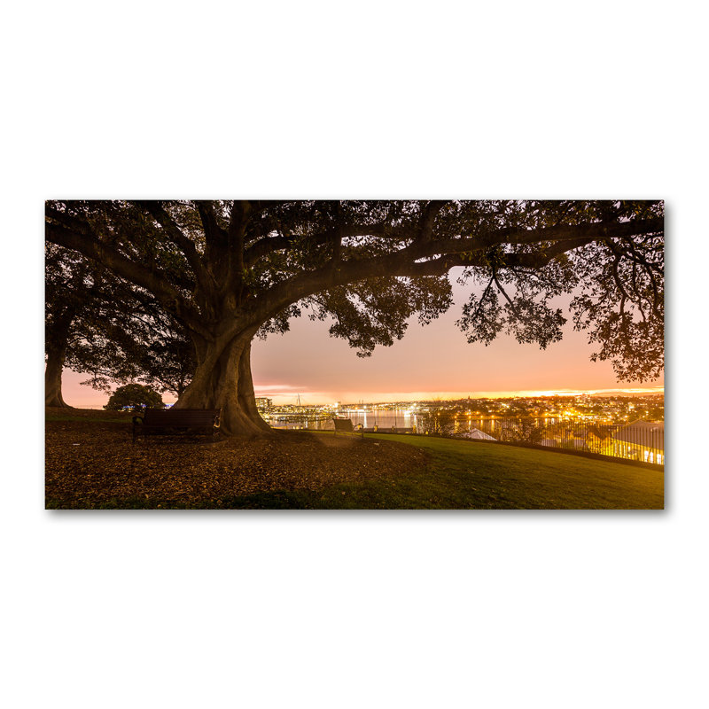 Old Tree - Wrapped Canvas Print