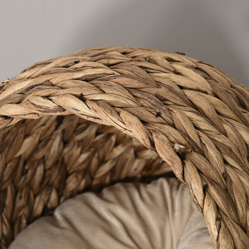 Lit surélevé pour chat avec coussin léger et moelleux, pour chats d'intérieur, H 23,5 po, panier de coussin brun doux