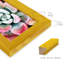 Pastel Succulent Beauty V, reproduction d'art sur papier-638222769-638222776
