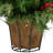 Arrangement in Basket
