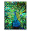 «Peacock Power», reproduction sur toile