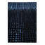 Tapis noir Iniguez
