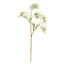 23.5-Inch Wisteria Stem