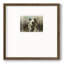 Lodge Twilight Iompemium, reproduction encadrée-88073869