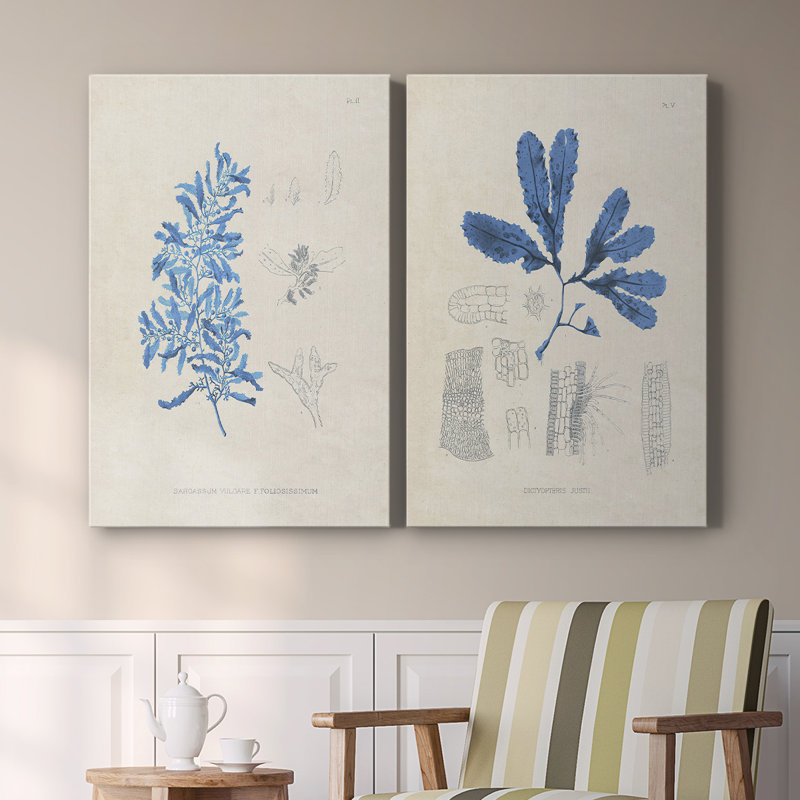 «Blue Marine Algae VI», toile tendue avec châssis de qualité supérieure, prête à être accrochée, H 12 po x l 16 po
