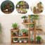 Solid Wood Plant Stand 8 Tier