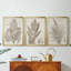 Sépia plantes exotiques I - Toile tendue avec châssis sur mesure - 3 pièces-1697689635-1697689656