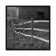 «Barn Fence», photographie sur toile-34985061-72397163-72395521