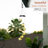 Altgeld Weather Resistant Plastic Abstract Wind Chime