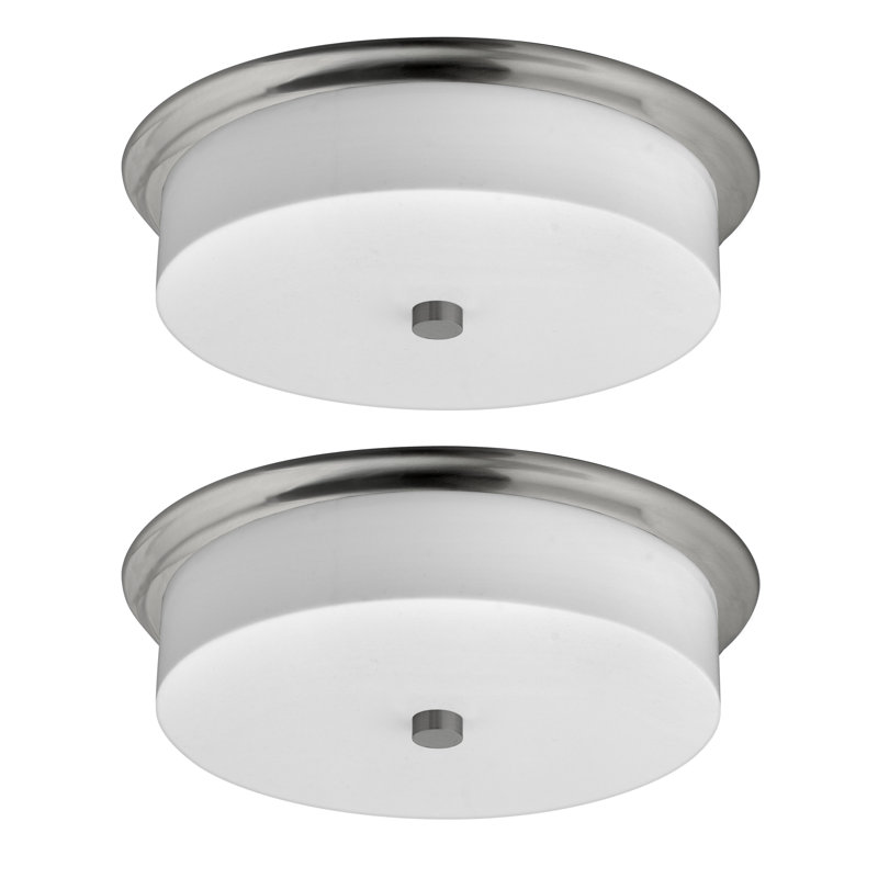 3 - Light 21'' Flush Mount Ceiling Fixture